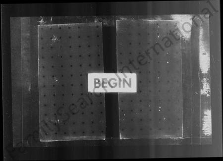 浙江叶氏族谱-新州叶氏家乘.pdf电子版插图3