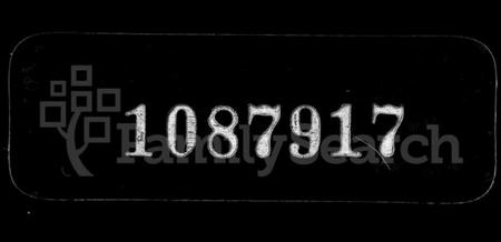 浙江叶氏族谱-新州叶氏家谱.pdf电子版插图 浙江叶氏族谱-新州叶氏家谱.pdf电子版插图
