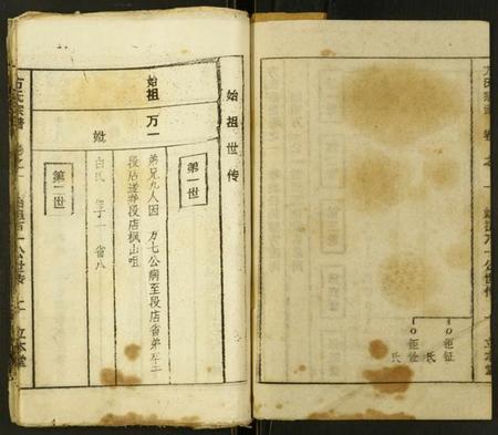 湖北方氏族谱-方氏宗谱.pdf电子版插图2 湖北方氏族谱-方氏宗谱.pdf电子版插图2