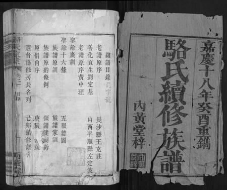 湖南骆氏族谱-骆氏家乘.pdf电子版插图1