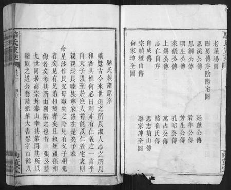 湖南骆氏族谱-骆氏家乘.pdf电子版插图4