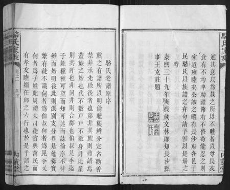 湖南骆氏族谱-骆氏家乘.pdf电子版插图5