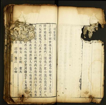 湖北方氏族谱-方氏族谱.pdf电子版插图5