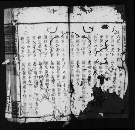 湖南江氏族谱-江氏族谱 [22卷].pdf电子版插图4