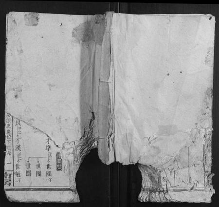 湖南蒋氏族谱-蒋氏三修族谱.pdf电子版