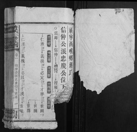 湖南蒋氏族谱-蒋氏三修族谱.pdf电子版插图1