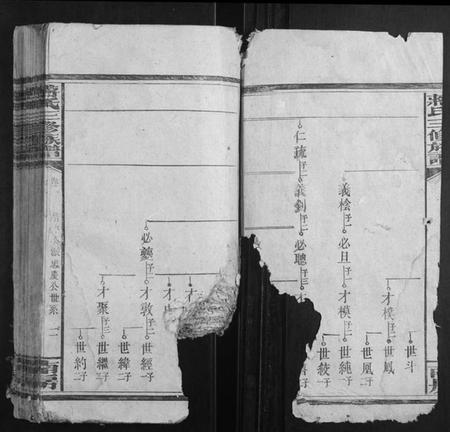 湖南蒋氏族谱-蒋氏三修族谱.pdf电子版插图2