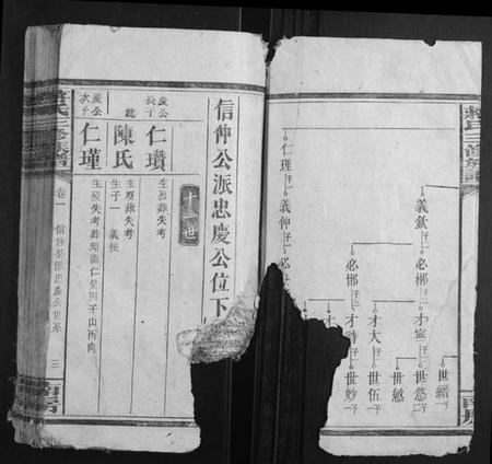 湖南蒋氏族谱-蒋氏三修族谱.pdf电子版插图3