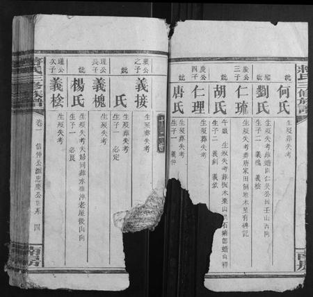 湖南蒋氏族谱-蒋氏三修族谱.pdf电子版插图4