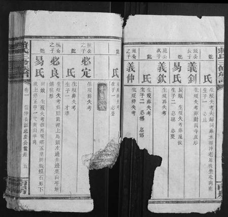 湖南蒋氏族谱-蒋氏三修族谱.pdf电子版插图5