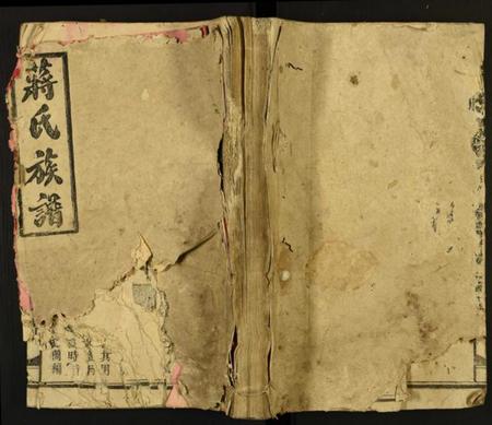 湖南蒋氏族谱-蒋氏族谱.pdf电子版