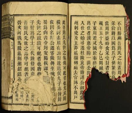 湖南蒋氏族谱-蒋氏族谱.pdf电子版插图2