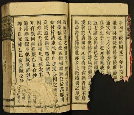 湖南蒋氏族谱-蒋氏族谱.pdf电子版插图3