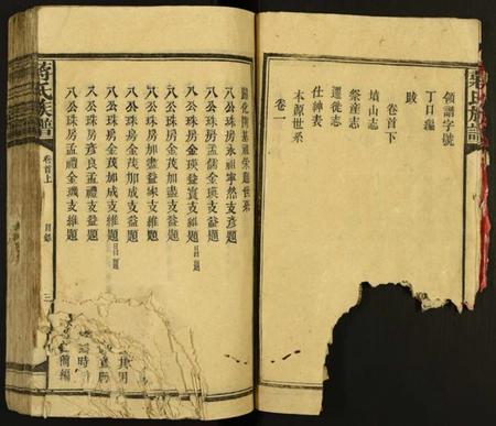 湖南蒋氏族谱-蒋氏族谱.pdf电子版插图5