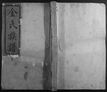 湖南金氏族谱-吴楚金氏续修族谱[8卷].pdf电子版