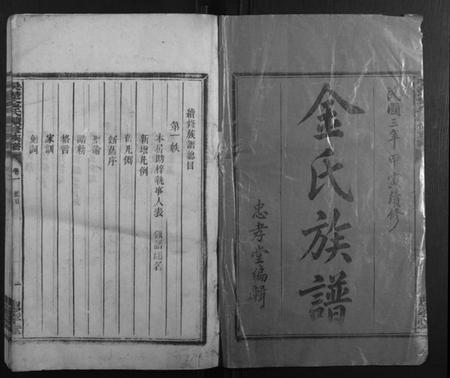 湖南金氏族谱-吴楚金氏续修族谱[8卷].pdf电子版插图1