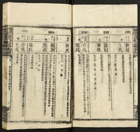 湖南金氏族谱-桥头金氏五修族谱.pdf电子版插图3