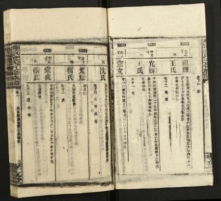 湖南金氏族谱-桥头金氏五修族谱.pdf电子版插图4