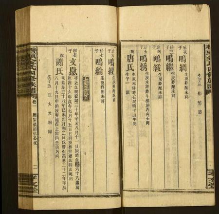 湖南金氏族谱-桥头金氏四修族谱.pdf电子版插图2