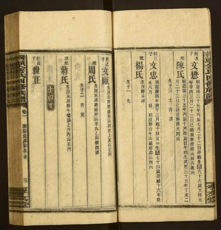 湖南金氏族谱-桥头金氏四修族谱.pdf电子版插图3