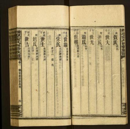 湖南金氏族谱-桥头金氏四修族谱.pdf电子版插图4