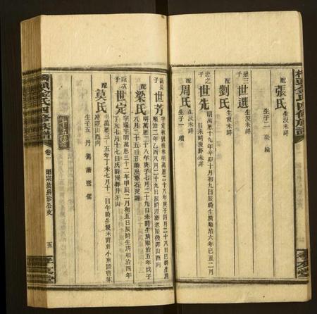 湖南金氏族谱-桥头金氏四修族谱.pdf电子版插图5