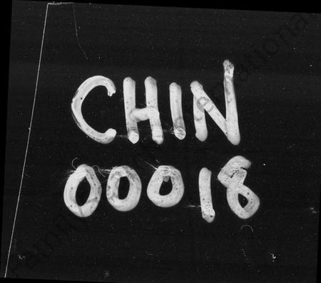 湖南金氏族谱-桥头金氏四修族谱 [首末各2卷].pdf电子版插图1