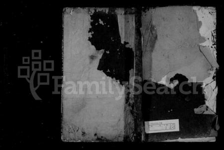 浙江王氏族谱-暨阳紫岩新湖王氏宗谱 [不分卷].pdf电子版插图1