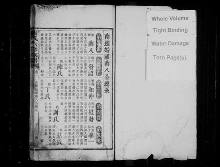 湖南康氏族谱-康氏六修族谱 [卷数不详].pdf电子版插图2