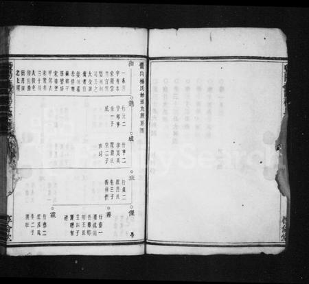 浙江杨氏族谱-暨阳蕾山杨氏宗谱 [40卷].pdf电子版插图4