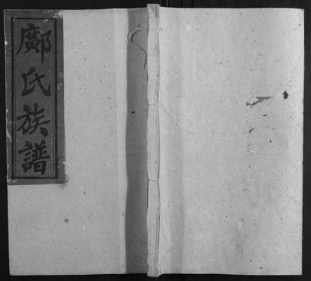 湖南邝氏族谱-邝氏三修族谱[4卷首1卷世系5卷齿录20卷].pdf电子版