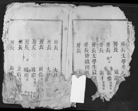 湖北冯氏族谱-冯氏宗谱.pdf电子版插图4