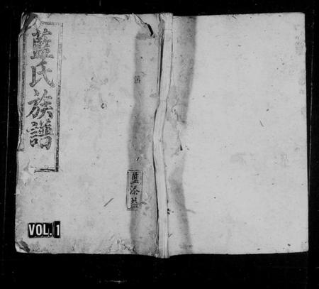 湖南蓝氏族谱-蓝氏族谱 [16卷,首2卷].pdf电子版插图1