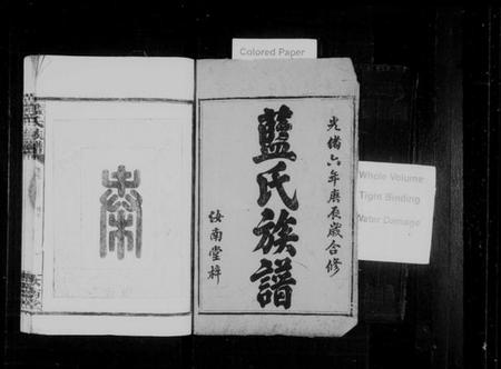 湖南蓝氏族谱-蓝氏族谱 [16卷,首2卷].pdf电子版插图2