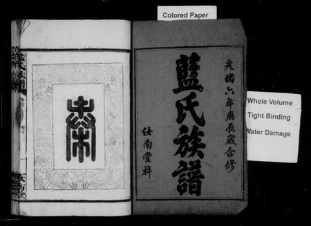 湖南蓝氏族谱-蓝氏族谱 [16卷,首2卷].pdf电子版插图3