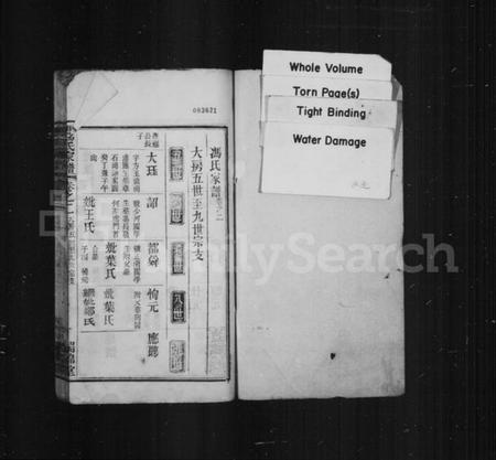 湖北冯氏族谱-冯氏家谱.pdf电子版插图1