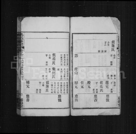 湖北冯氏族谱-冯氏家谱.pdf电子版插图2