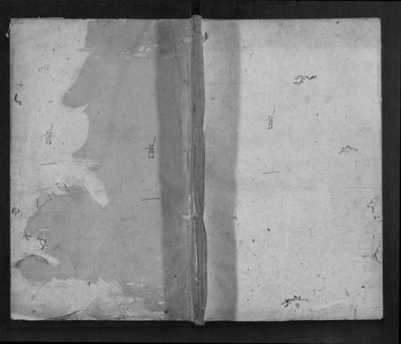 湖南雷氏族谱-雷氏支谱[7卷首1卷].pdf电子版