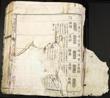 江西郭氏族谱-万泰郭氏六修族谱.pdf电子版插图1