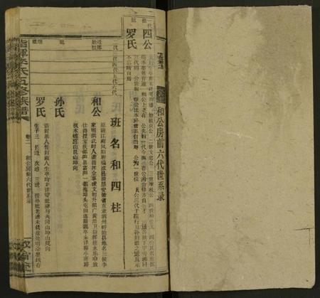 湖南李氏族谱-指挥李氏五修族谱 [存18卷].pdf电子版插图1