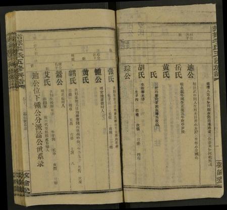 湖南李氏族谱-指挥李氏五修族谱 [存18卷].pdf电子版插图2