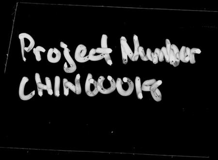 湖南李氏族谱-新泽李氏三修族谱 [42卷,首5卷].pdf电子版插图4