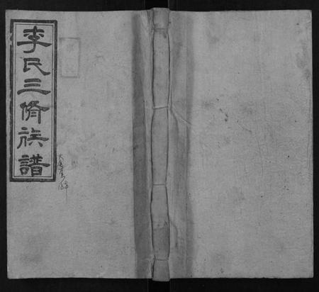 湖南李氏族谱-李氏三修族谱.pdf电子版