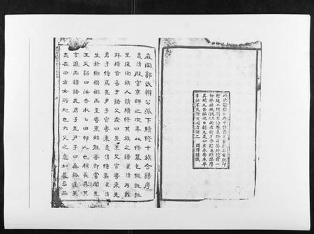 江西郭氏族谱-麻岗郭氏軿公派下十族合谱[19卷].pdf电子版插图2