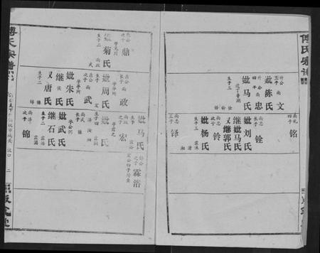 湖北傅氏族谱-傅氏宗谱 [卷数杂异].pdf电子版插图2