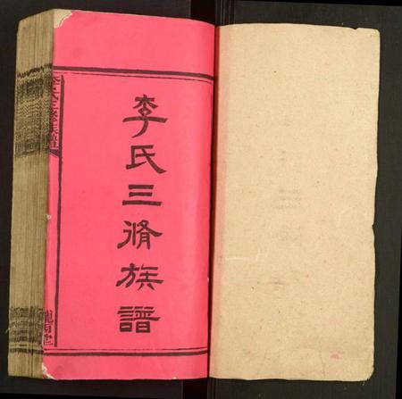 湖南李氏族谱-李氏三修族谱.pdf电子版插图1