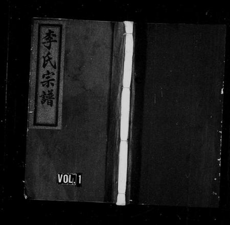 浙江李氏族谱-李氏宗谱 [卷数杂异].pdf电子版插图3