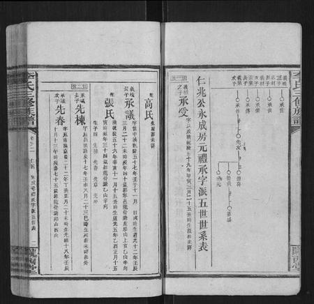 湖南李氏族谱-李氏三修族谱[70卷首2卷末1卷].pdf电子版插图2