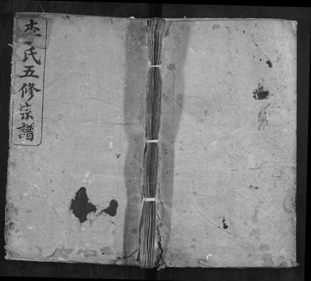 湖南李氏族谱-李氏五修宗谱.pdf电子版