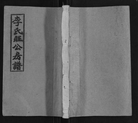 湖南李氏族谱-李氏五修房谱[5卷首1卷].pdf电子版